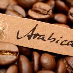 cà phê arabica là gì