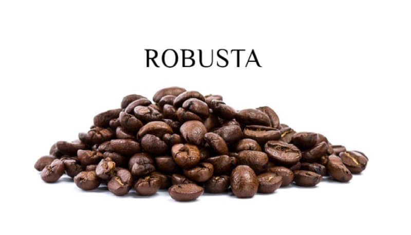 cà phê robusta là gì