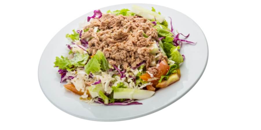 cách làm salad cá ngừ