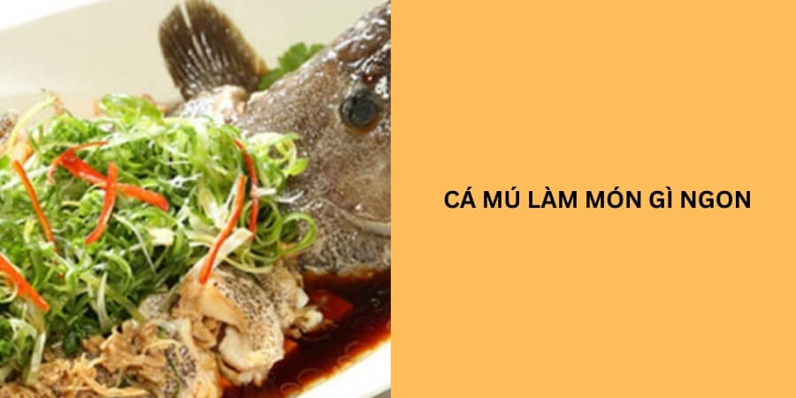 cá mú làm món gì ngon